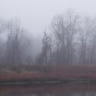 Warmth of a fog